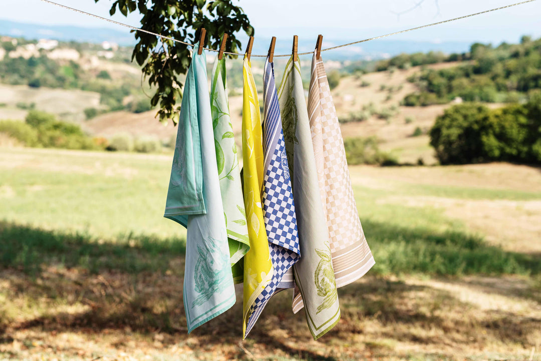 Strofinaccio Coastal Dish Towels - Set of 2