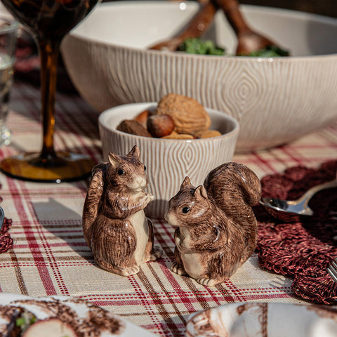 Clever Creatures Squirrel Salt and Pepper Set/2pc