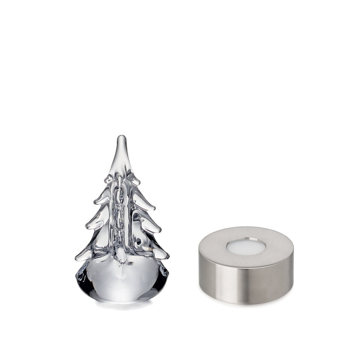 Five-Sided Evergreen