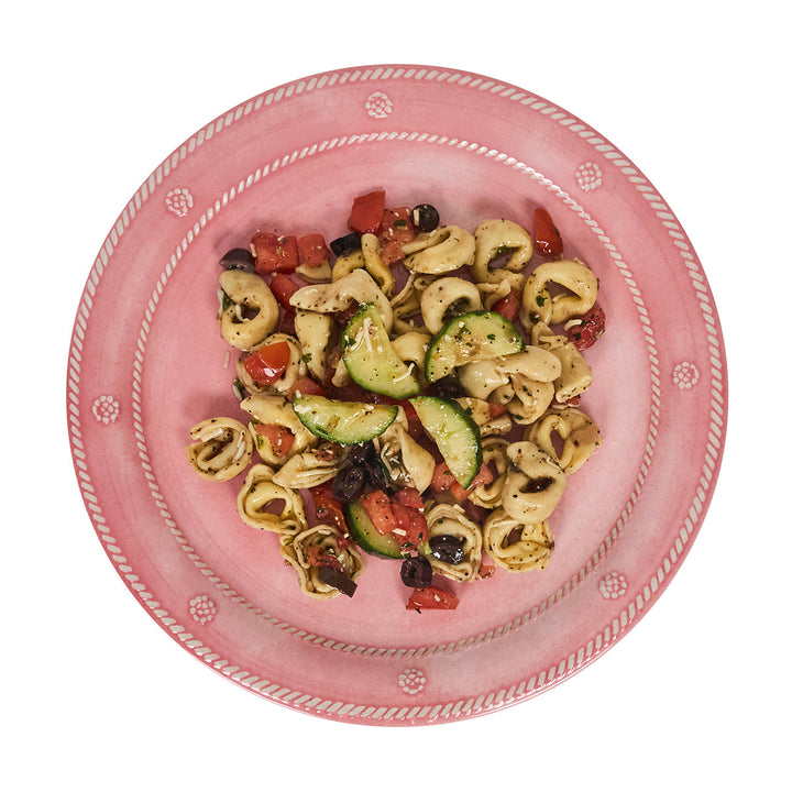 Berry &amp; Thread Melamine Dinner Plate Set/4 - Coral
