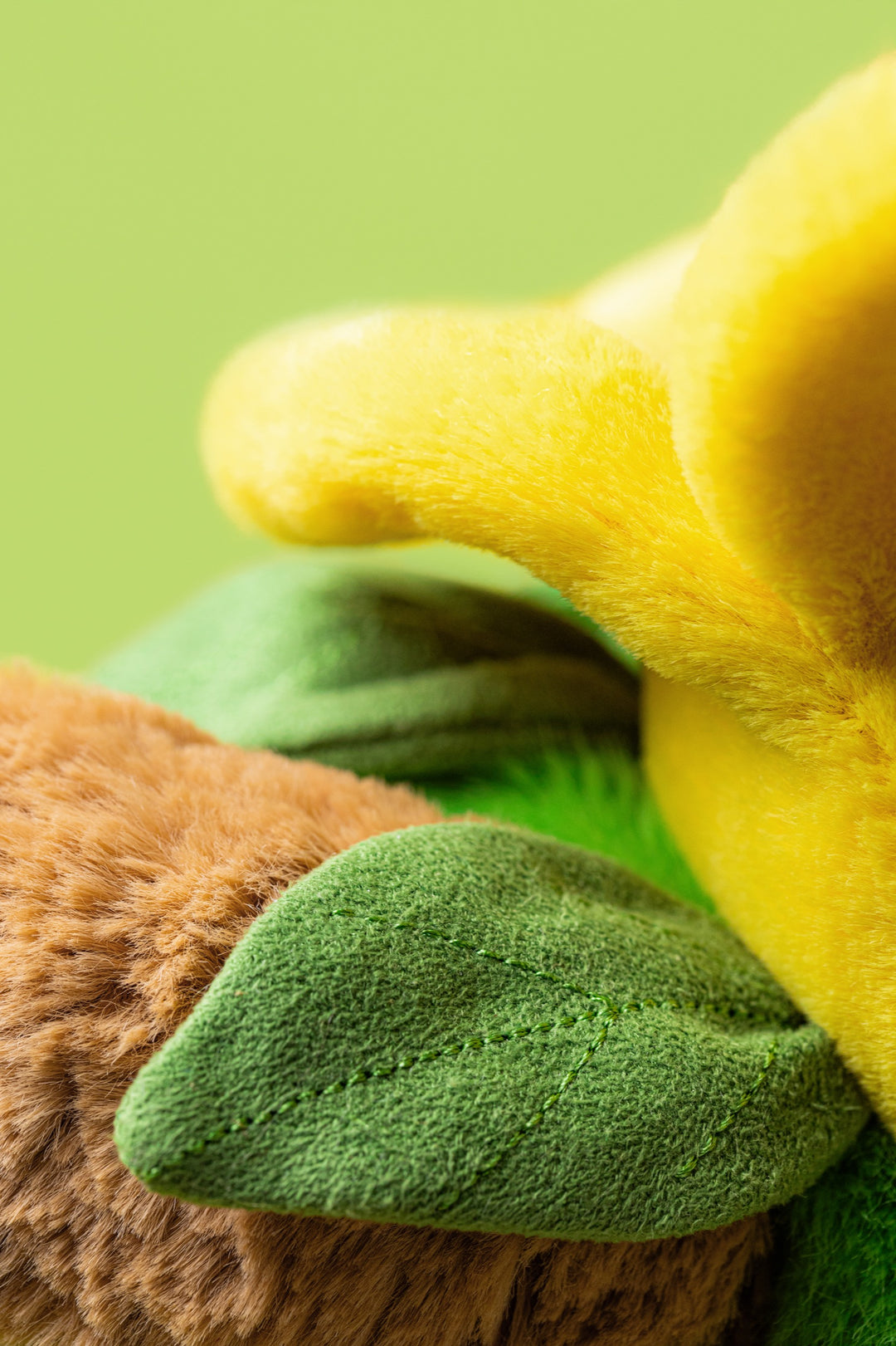 Bartholomew Bear Daffodil Outfit