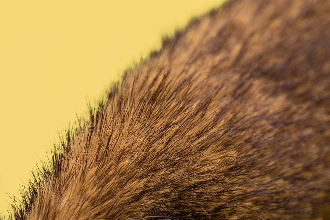 Hoppleston Luxe Bunny Original