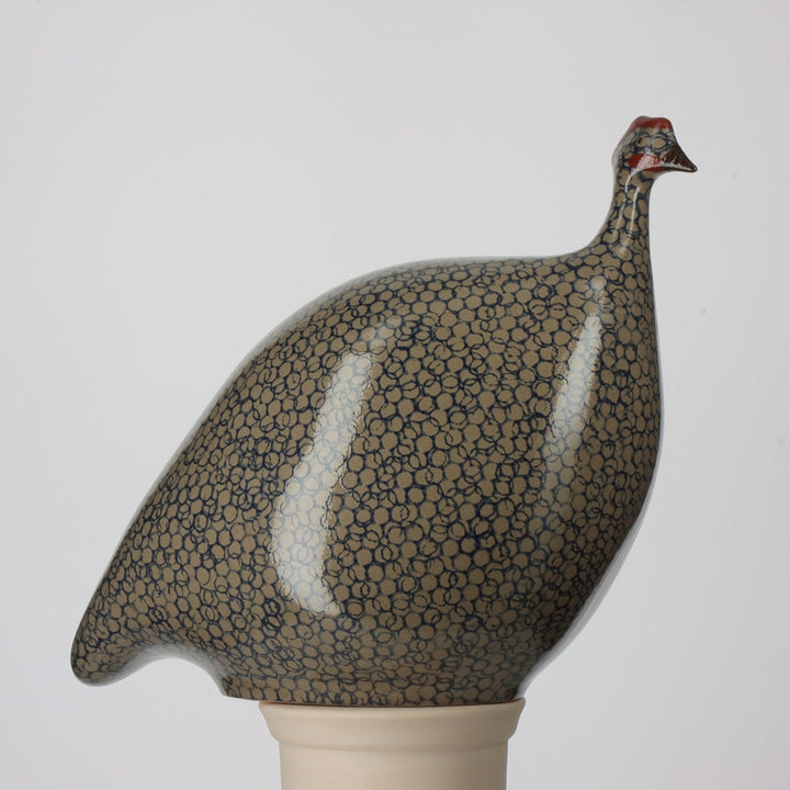 Guinea Fowl, Grey Spotted Cobalt / Small