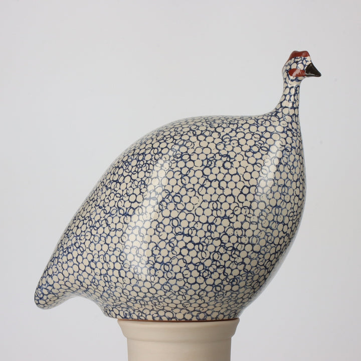 Guinea Fowl, White Spotted Cobalt / Small