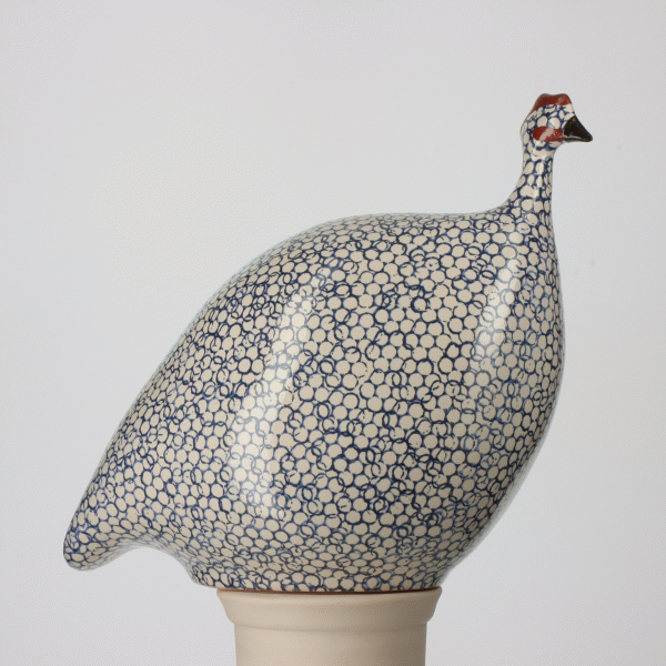 Guinea Fowl, White Spotted Cobalt / Small
