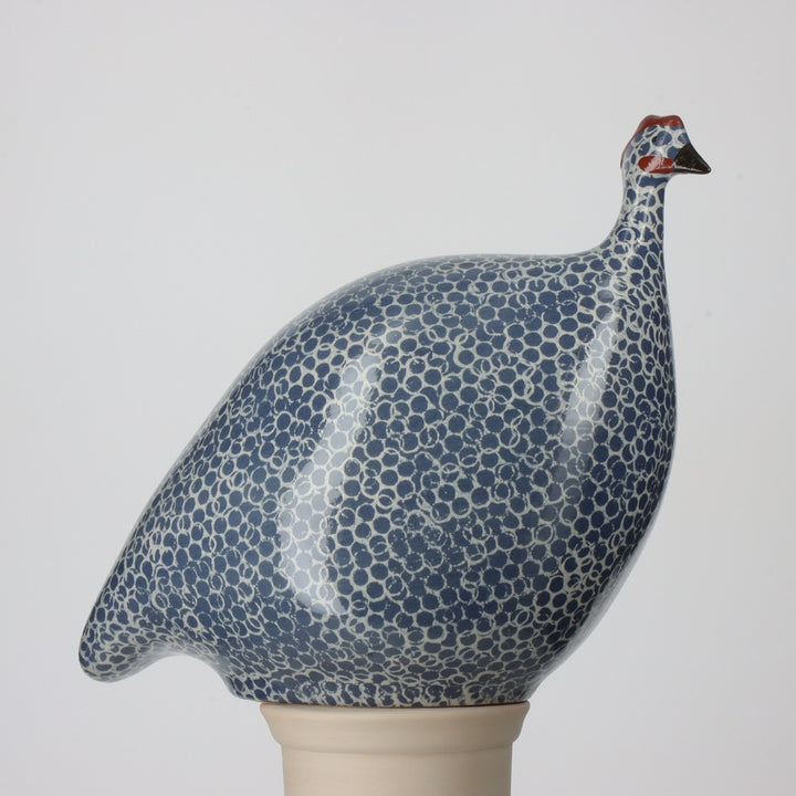 Guinea Fowl, Electric Blue Spotted White / Large