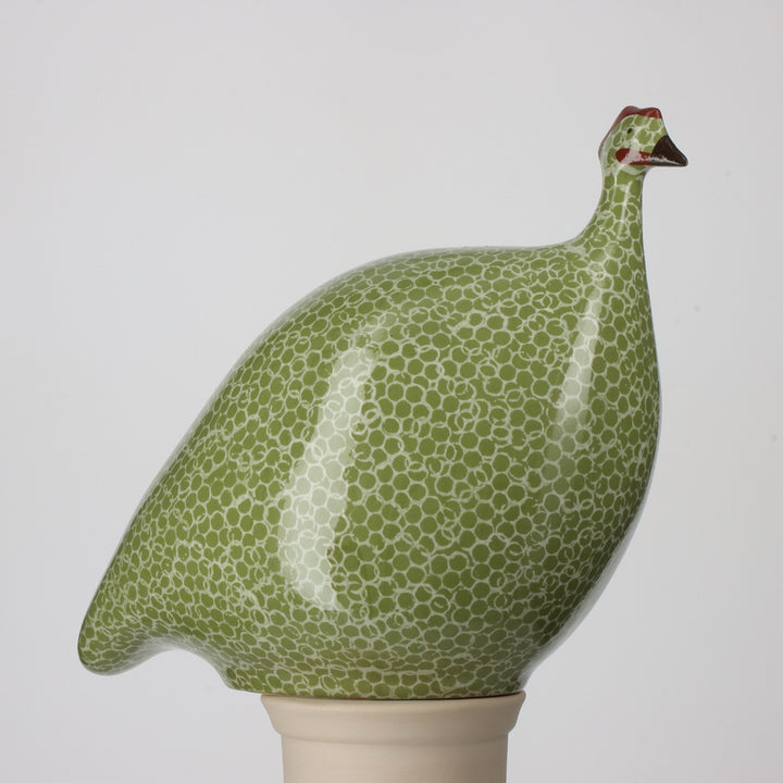 Guinea Fowl, Green Splashes Spotted White / Medium