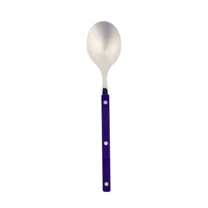 Pastello Navy Place Spoon