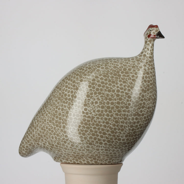 Guinea Fowl, Grey Spotted White / Medium