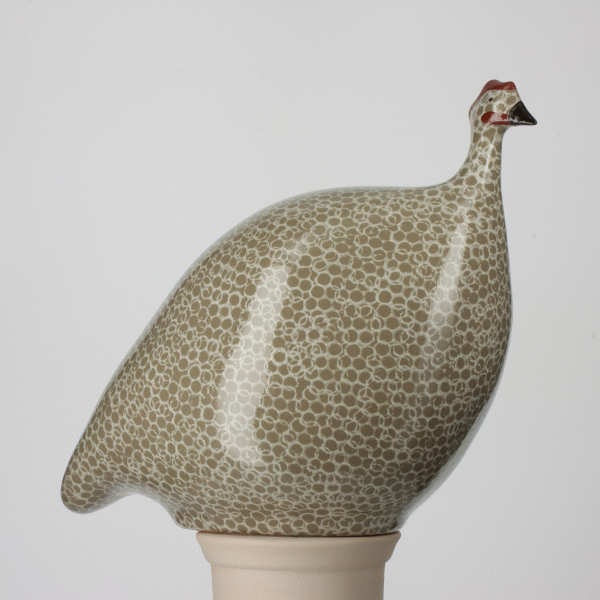 Guinea Fowl, Grey Spotted White / Medium