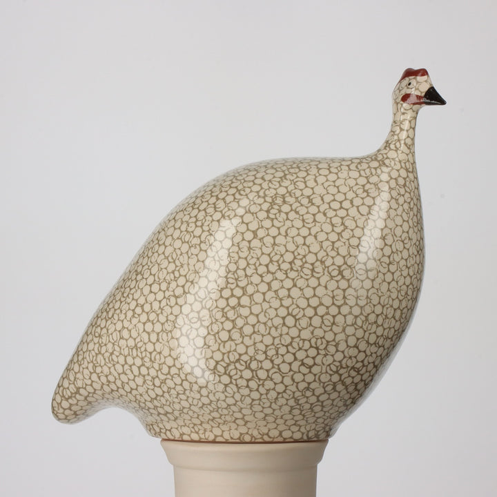 Guinea Fowl, White Spotted Grey / Small