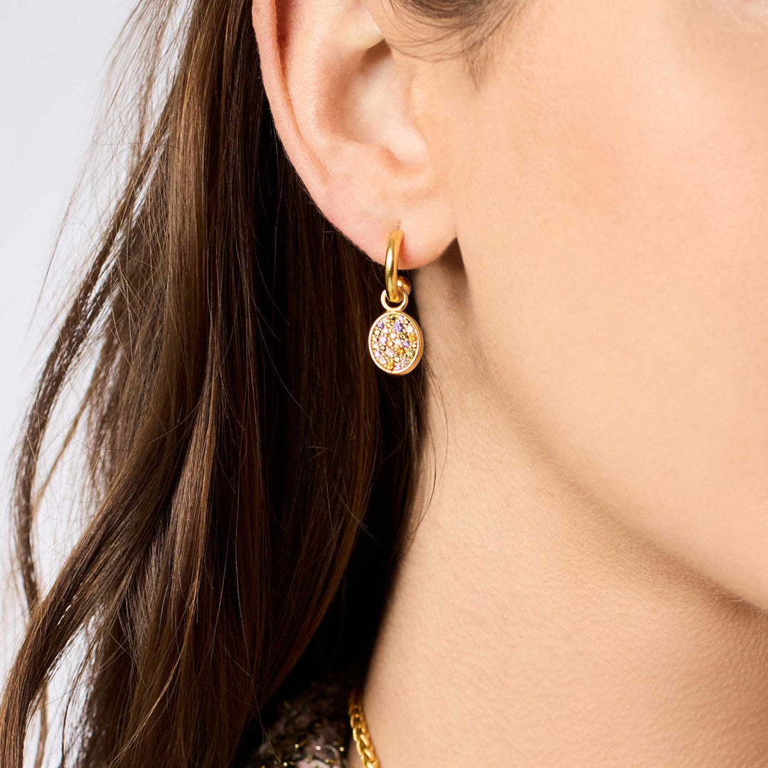 Stardust 6-in-1 Earring
