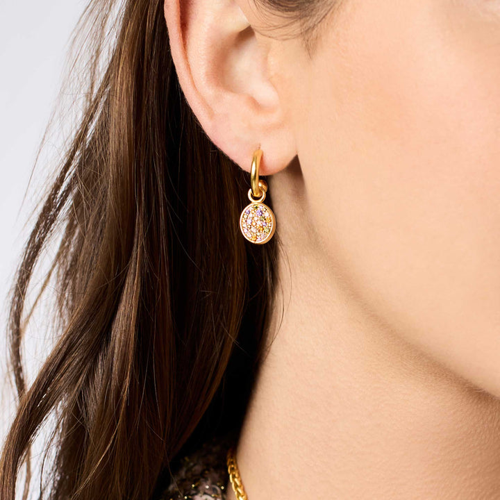 Stardust 6-in-1 Earring