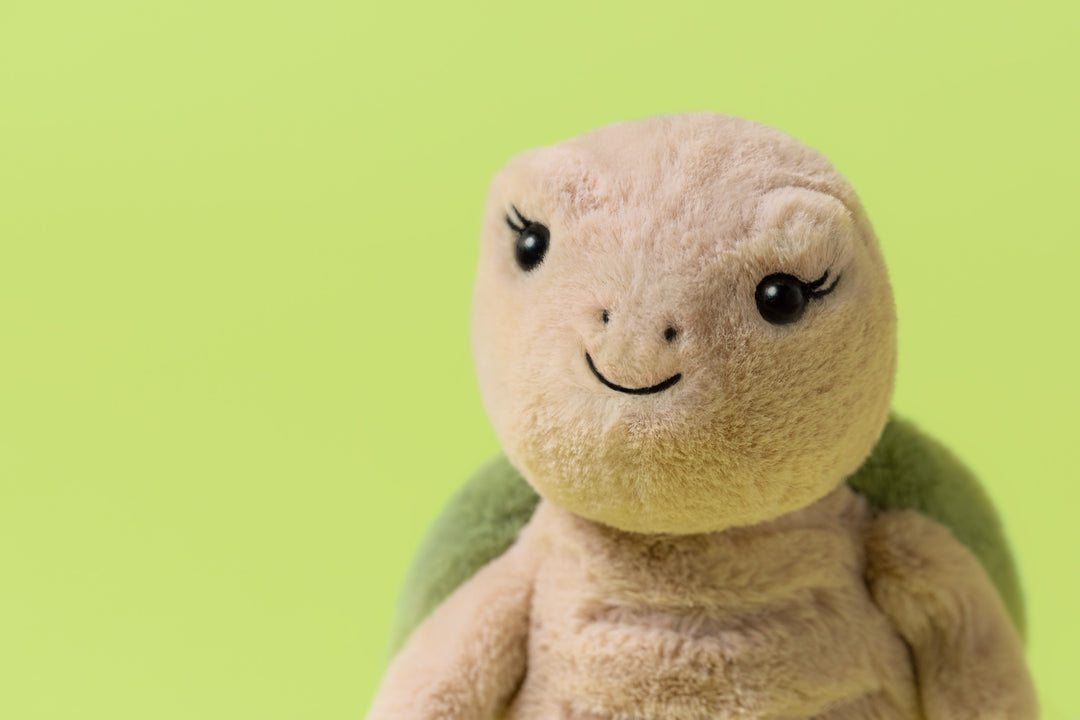 Thimble Turtle