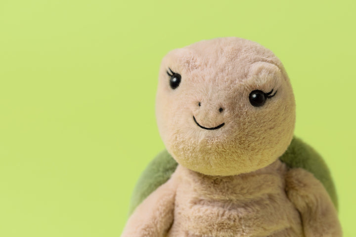 Thimble Turtle