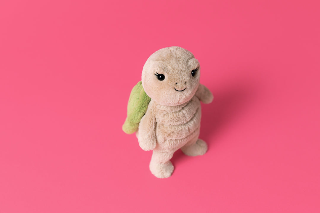 Thimble Turtle