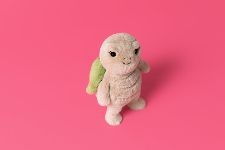 Thimble Turtle