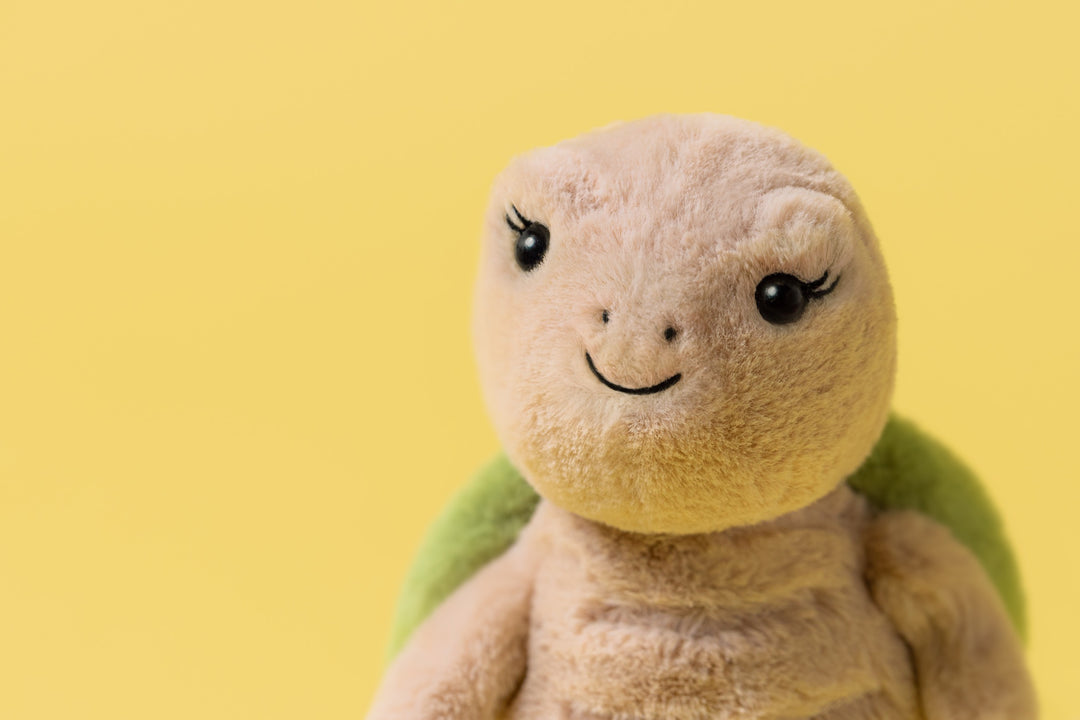 Thimble Turtle