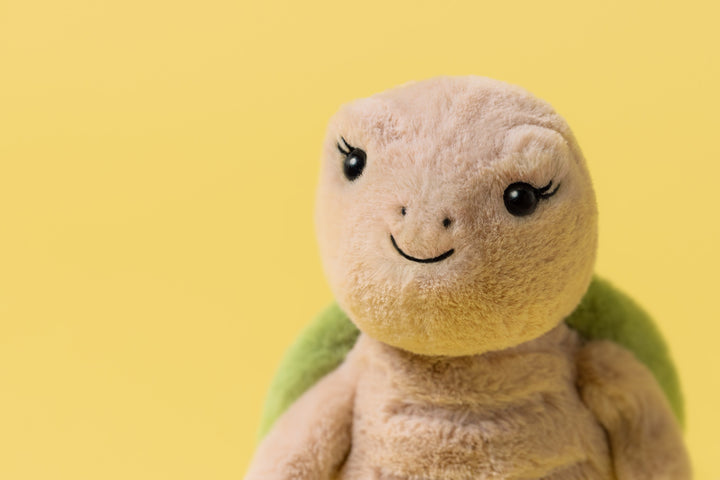 Thimble Turtle