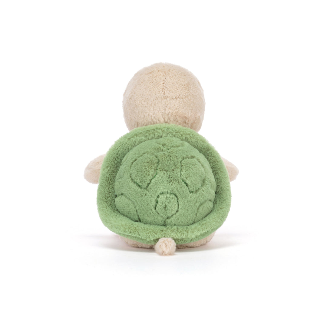 Thimble Turtle