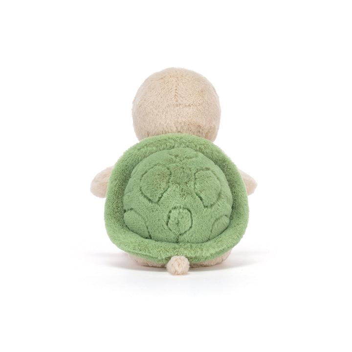 Thimble Turtle