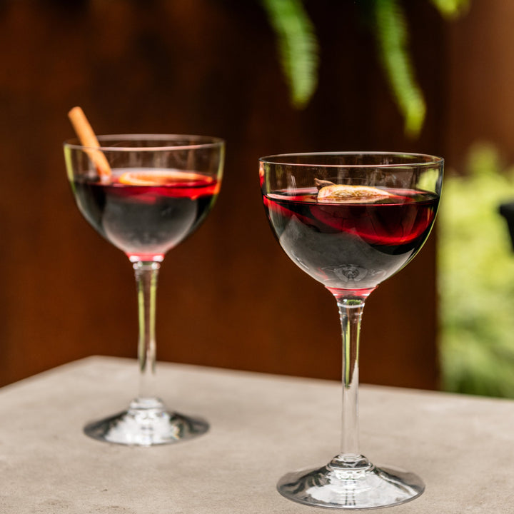 Vintner Nick &amp; Nora Glasses in Gift Box - Set of 2