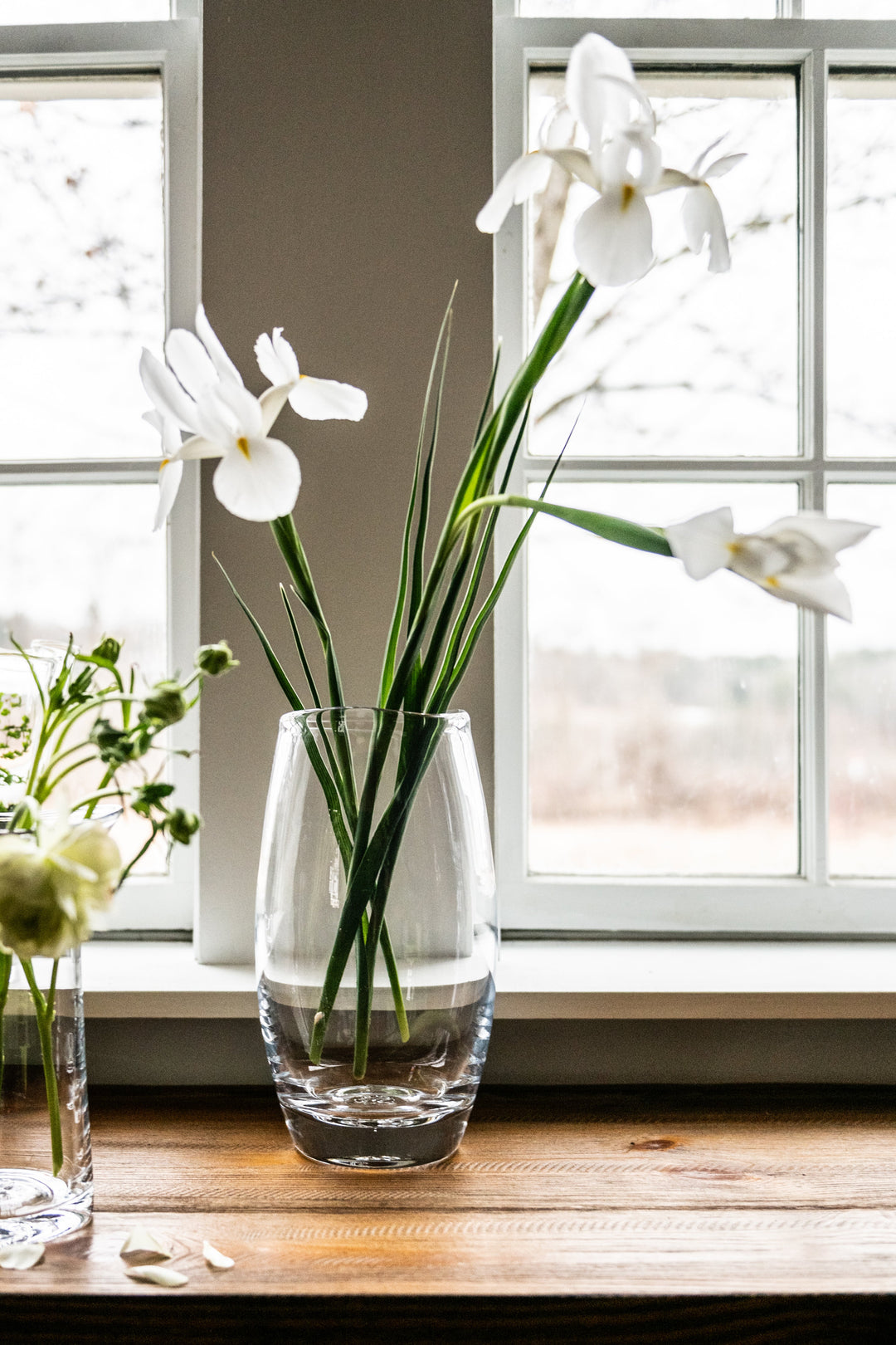 Burlington Vase - L