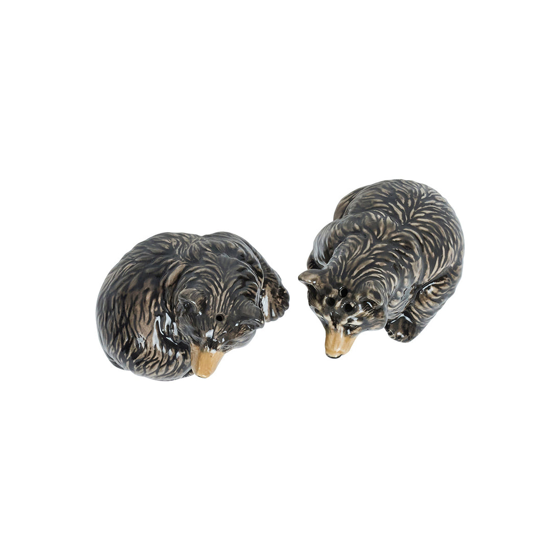 Clever Creatures Black Bear Salt and Pepper Shakers Set/2pc