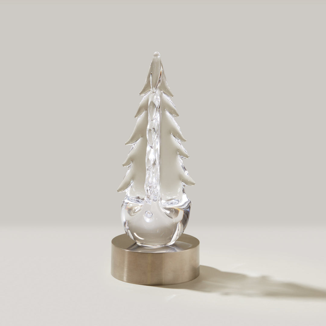 Evergreen Essentials Gift Set