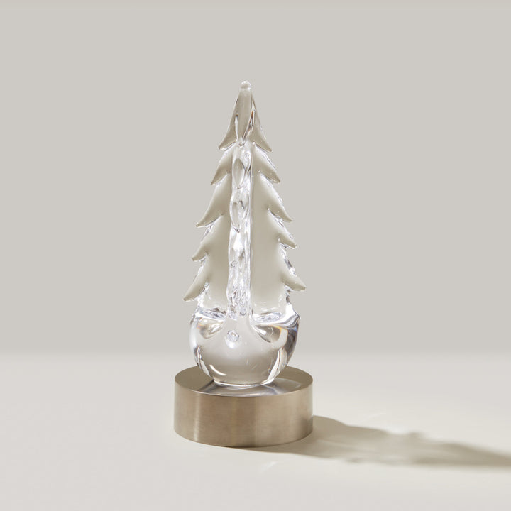 Evergreen Essentials Gift Set