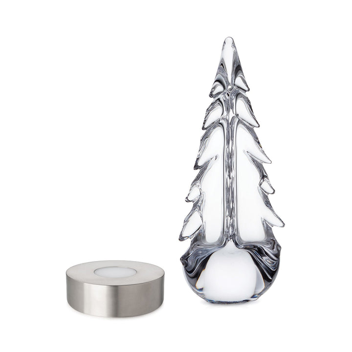 Evergreen Essentials Gift Set