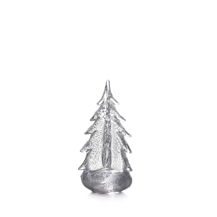 Silver Leaf Evergreen