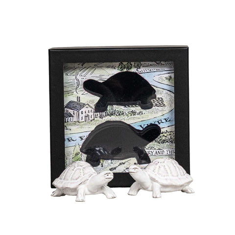 Clever Creatures Turtle Salt and Pepper Set/2pc