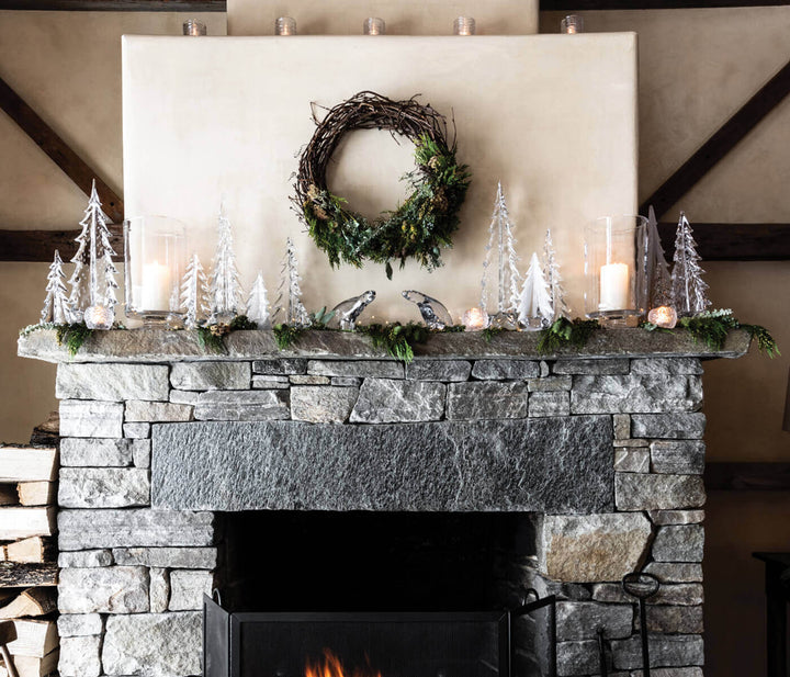 Silver Leaf Evergreen