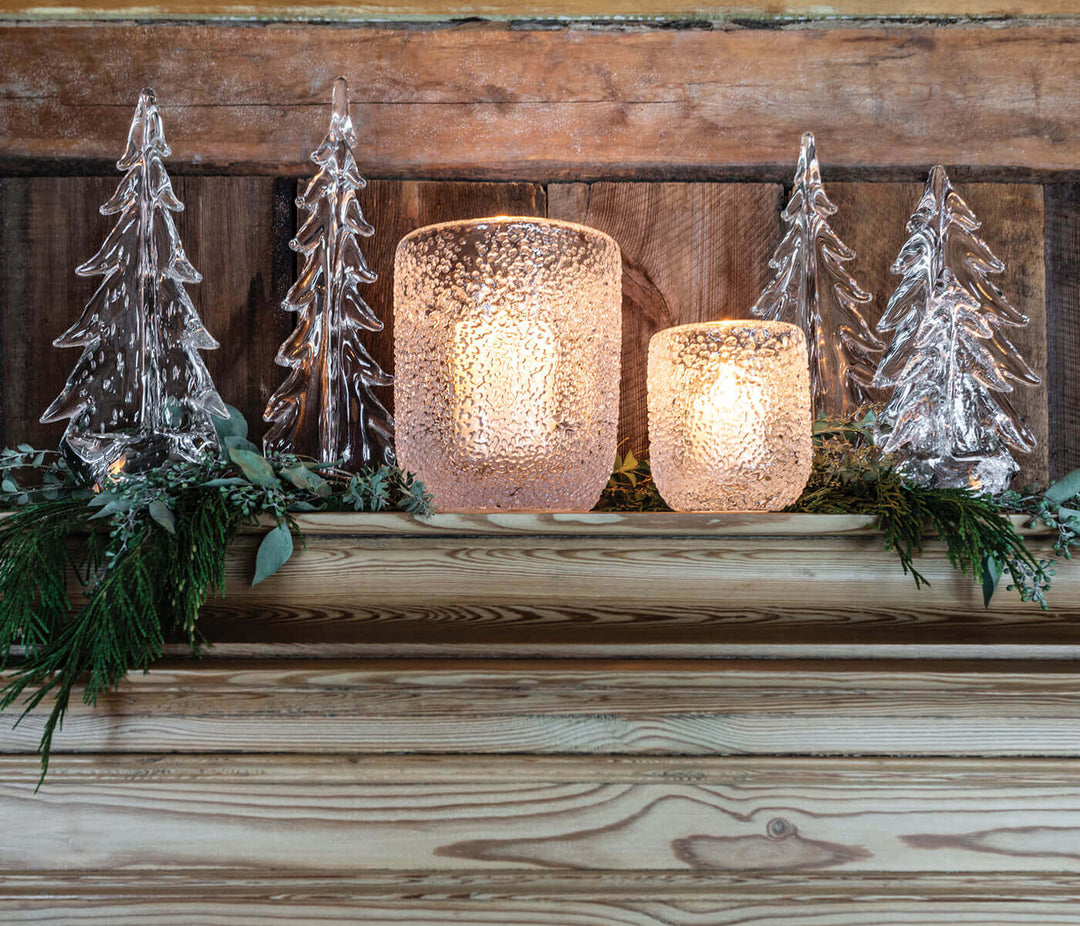 Silver Leaf Evergreen